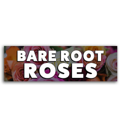 Bare Root Roses Vinyl...