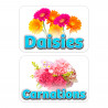 Assorted Flowers 12 Pack Yard Signs - Each Sign is 24" x 16" Single-Sided and Comes with Metal Stake Made in The USA