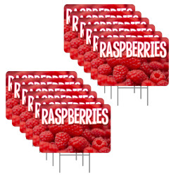 Raspberries 12 Pack Yard...
