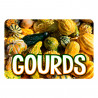 Gourds 12 Pack Yard Signs - Each Sign is 24" x 16" Single-Sided and Comes with Metal Stake Made in The USA