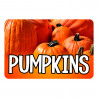 Pumpkins 12 Pack Yard Signs - Each Sign is 24" x 16" Single-Sided and Comes with Metal Stake Made in The USA