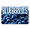 Blueberries 12 Pack Yard Signs - Each Sign is 24" x 16" Single-Sided and Comes with Metal Stake Made in The USA