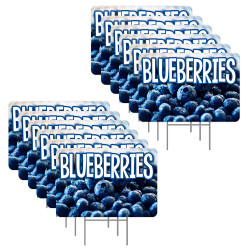 Blueberries 12 Pack Yard...