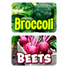 Assorted Produce Set 2 12 Pack Yard Signs - Each Sign is 24" x 16" Single-Sided and Comes with Metal Stake Made in The USA