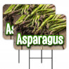Asparagus 2 Pack Double-Sided Yard Signs 16" x 24" with Metal Stakes (Made in Texas)