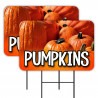 PUMPKINS 2 Pack Double-Sided Yard Signs 16" x 24" with Metal Stakes (Made in Texas)