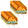 Cantaloupe 12 Pack Yard Signs - Each Sign is 24" x 16" Single-Sided and Comes with Metal Stake Made in The USA