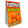 Pumpkins Sold Here Economy A-Frame Sign