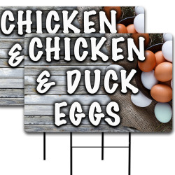 Chicken & Duck Eggs 2 Pack...