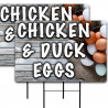 Chicken & Duck Eggs 2 Pack Double-Sided Yard Signs 16" x 24" with Metal Stakes (Made in Texas)