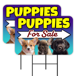 Puppies For Sale - Kittens...