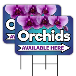 Orchids - Flowers Nursery...