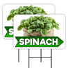 Spinach - Produce 2 Pack Double-Sided Yard Signs 16" x 24" with Metal Stakes (Made in Texas)
