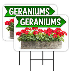 Geraniums - Flowers Plants...