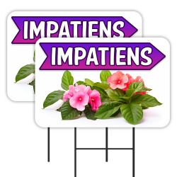 Impatiens - Flowers Plants...