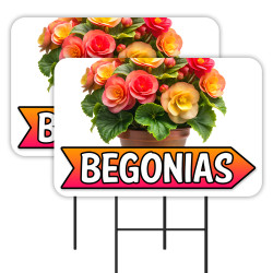 Begonias - Flowers Plants 2...