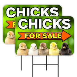 Chicks For Sale - Eggs Chickens 2 Pack Double-Sided Yard Signs 16" x 24" with Metal Stakes (Made in Texas)