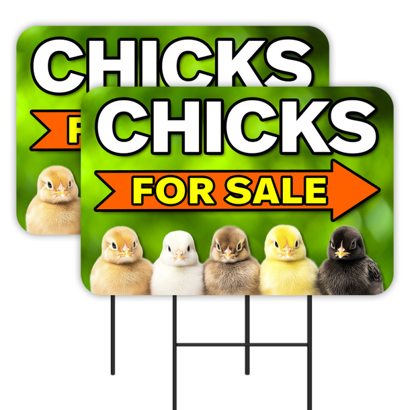 Chicks For Sale - Eggs Chickens 2 Pack Double-Sided Yard Signs 16" x 24" with Metal Stakes (Made in Texas)