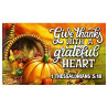 Give Thanks Premium 3x5 foot Flag OR Optional Flag with Mounting Kit